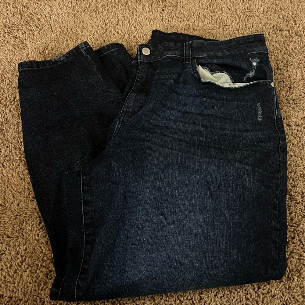 Judy Blue 22W Skinny Jean Dark Wash